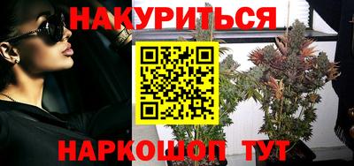 сатива Пенза